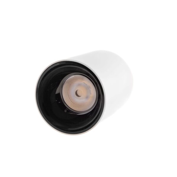 LED surface mounted light BERGEN 20W, 4000K, UGR19, IP65, Ø115x152mm, white/black