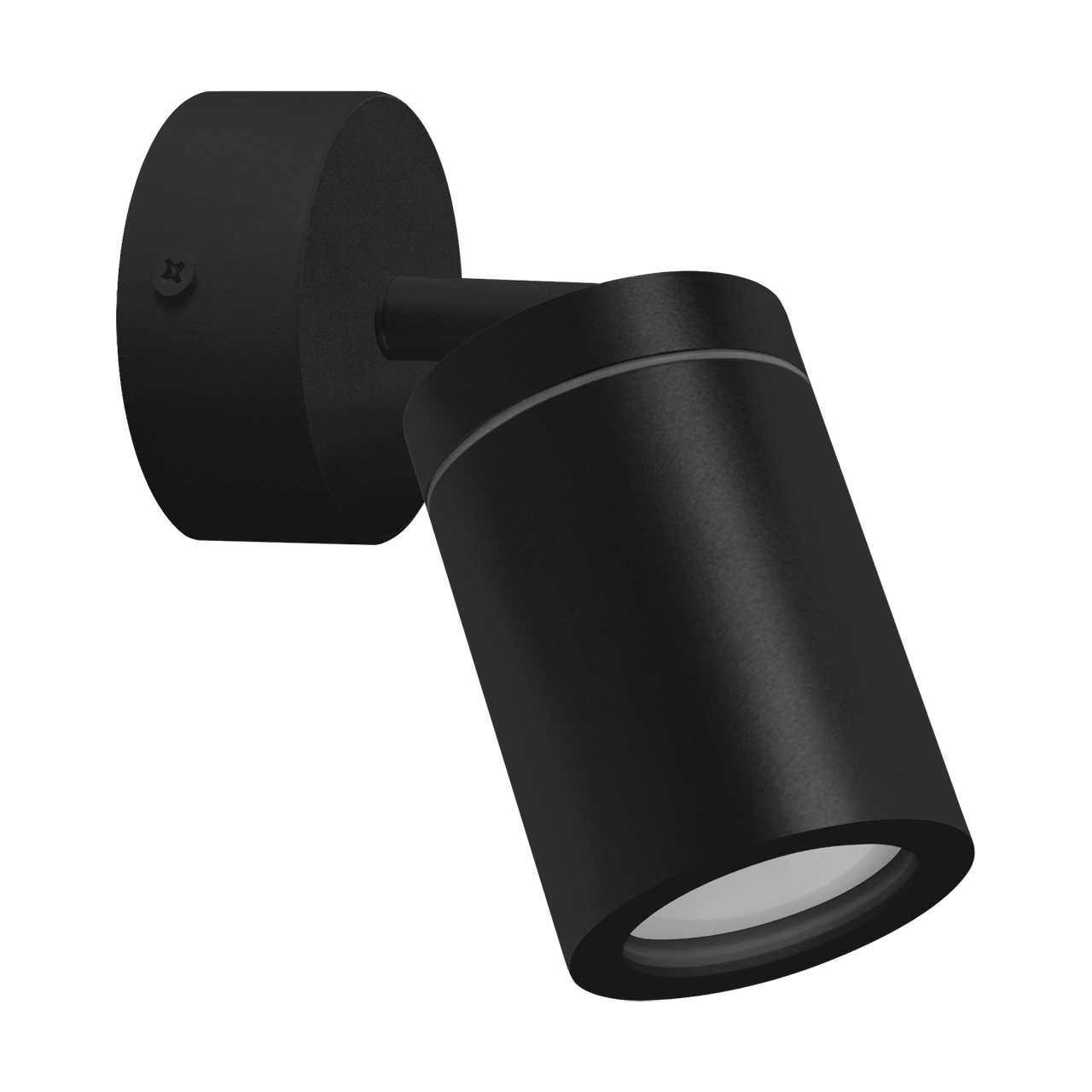 Ceiling and wall light directable TENOR GU10, IP44, black