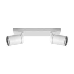 Ceiling light directable TENOR 2xGU10, IP44, white