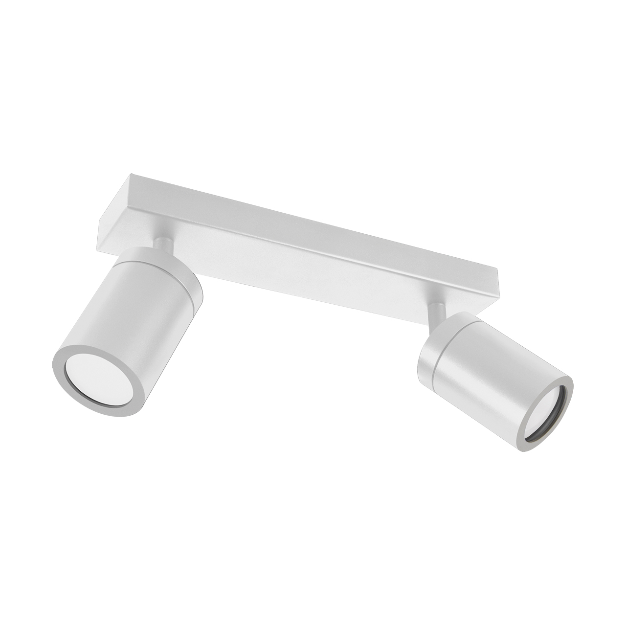 Ceiling light directable TENOR 2xGU10, IP44, white