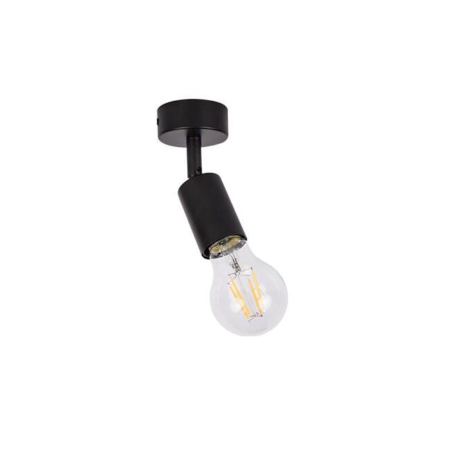 Ceiling and wall light EOS, E27, black