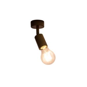 Ceiling and wall light EOS, E27, black