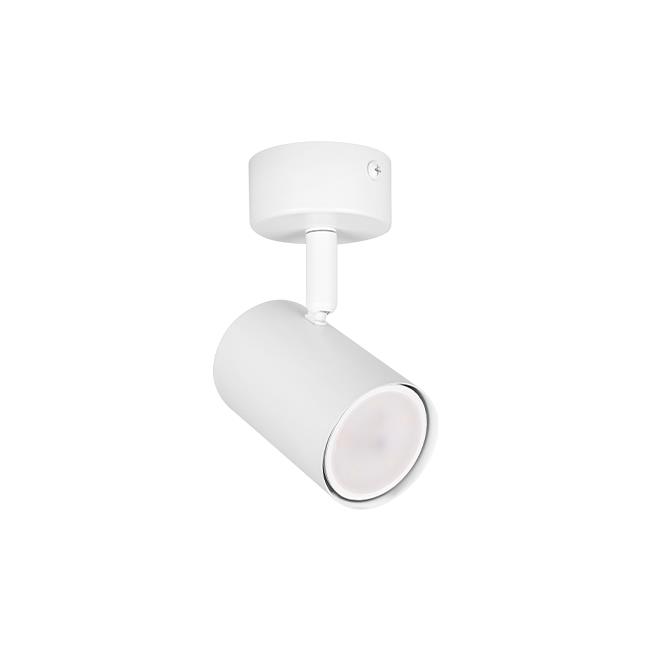 Ceiling and wall light RICHI, GU10, 1 pcs spot, white