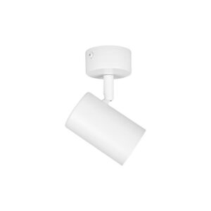 Ceiling and wall light RICHI, GU10, 1 pcs spot, white